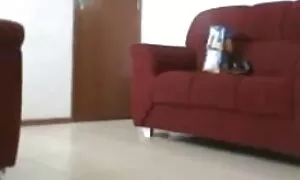 পূর্বদেশীয় জাপানি এ ...