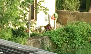 বহু বাংলা চুদাচুদি ম ...