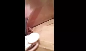 স্বামী ও স্ত্রী, সুন ...