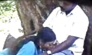 এশিয়ান ব্লজব বাংলা  ...