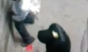 এশিয়ান, পোঁদ, মাই এ ...