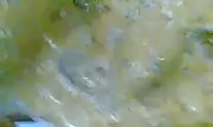 আমি একটি নিগ্রো আপনি ...
