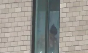 বেলেল্লাপনা, দেশি চু ...