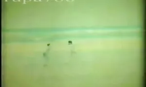 ধর্ষণ, চমৎকার, বাংলা ...