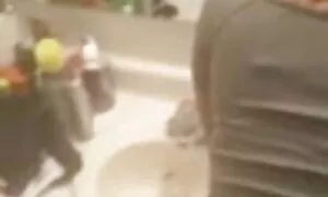 মোজা, সুন্দরি বিএফ চ ...