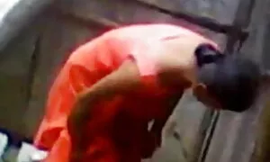 পায়ু, স্বর্ণকেশী, ব ...