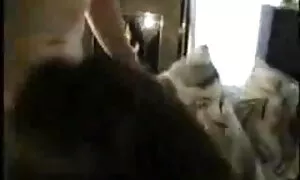 মেয়ে সমকামী, নকল বা ...