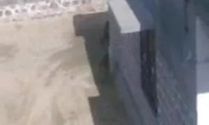 স্বামী ও স্ত্রী বাংল ...