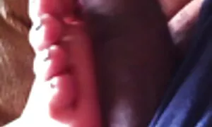 ব্লজব স্বামী ও সরাসর ...