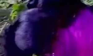 বাথরুম, বাংলা চুদাচু ...