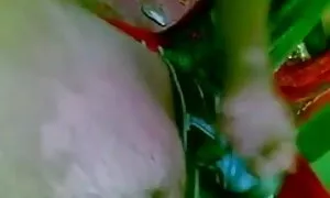 মেয়ে সমকামী বাংলাচু ...