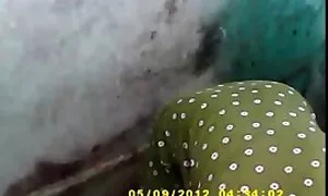 অপেশাদার, দুর্দশা, প ...