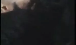 ওয়েবক্যাম, স্পাই, দ ...