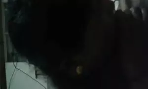নকল যৌনদণ্ড, বাংলাদে ...
