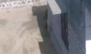পায়ু, ছোট মাই, মাই  ...