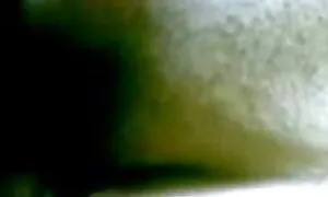 চেক, বাড়ীতে বাংলা চ ...